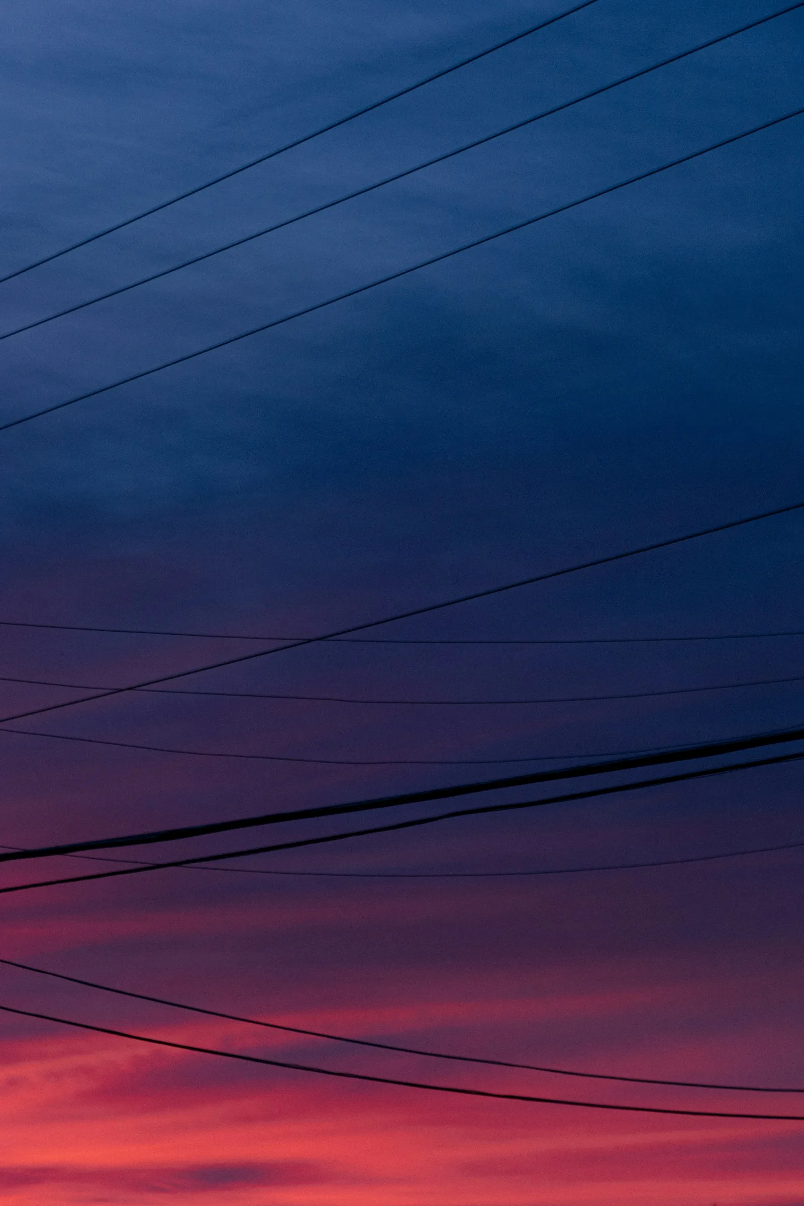 Telephone lines crossing a deep blue and copper evening sky